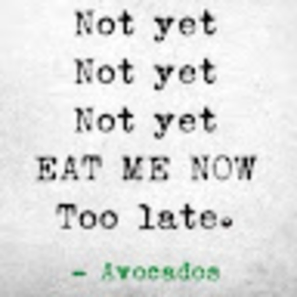 Meet your Posher, David - Picture 1 of 1